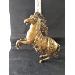 Rearing Brass Horse