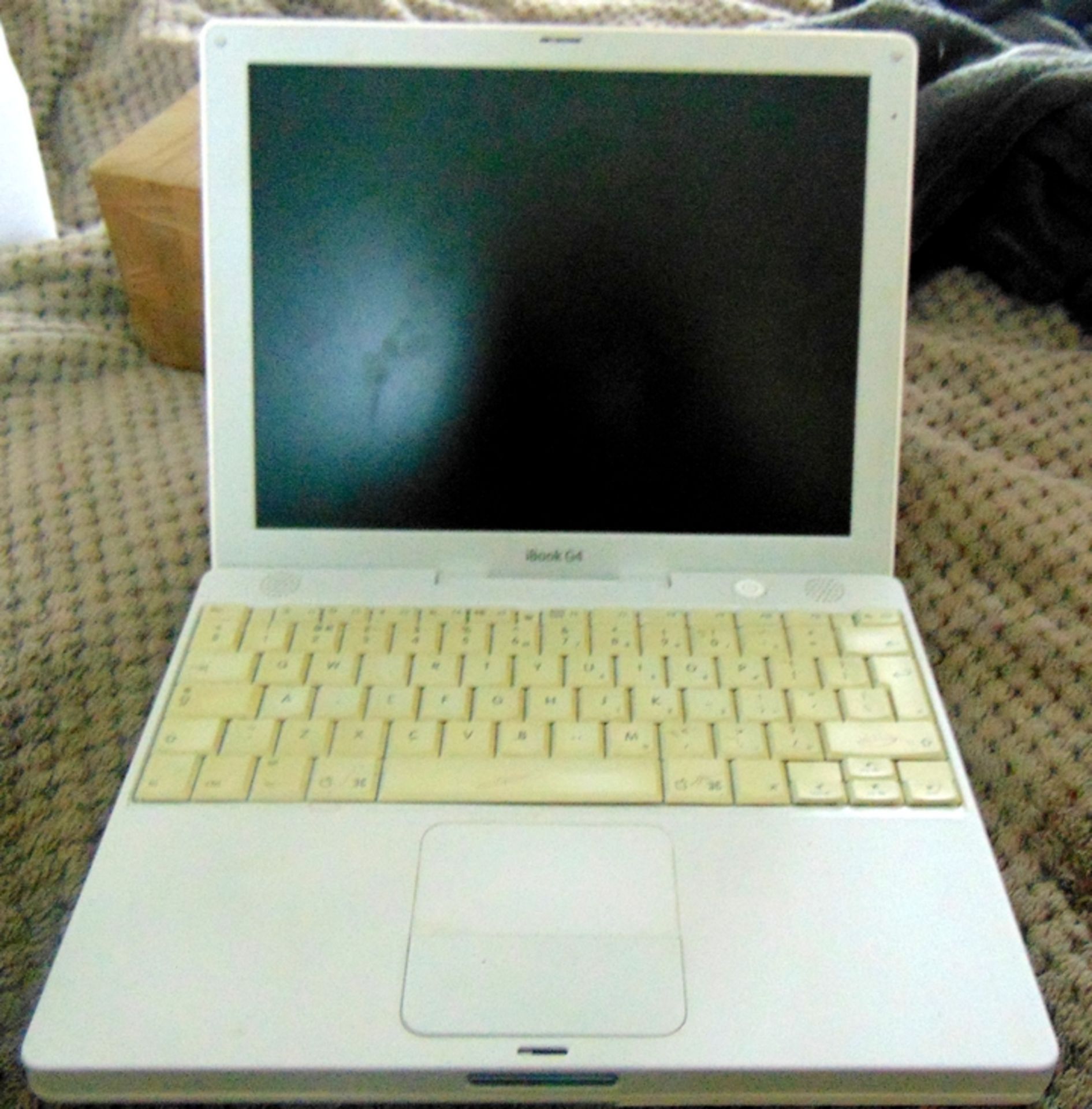 Apple g4 ibook in white, all in working order comes with charger