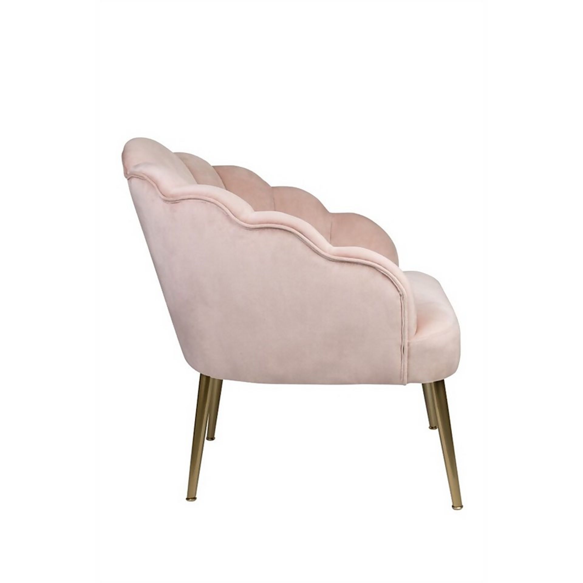 (R7N) 1 X Occasional Chair Blush. Velvet Fabric Cover. Rubberwood Legs. (H72xW60xD70cm) RRP £60 - Image 5 of 6