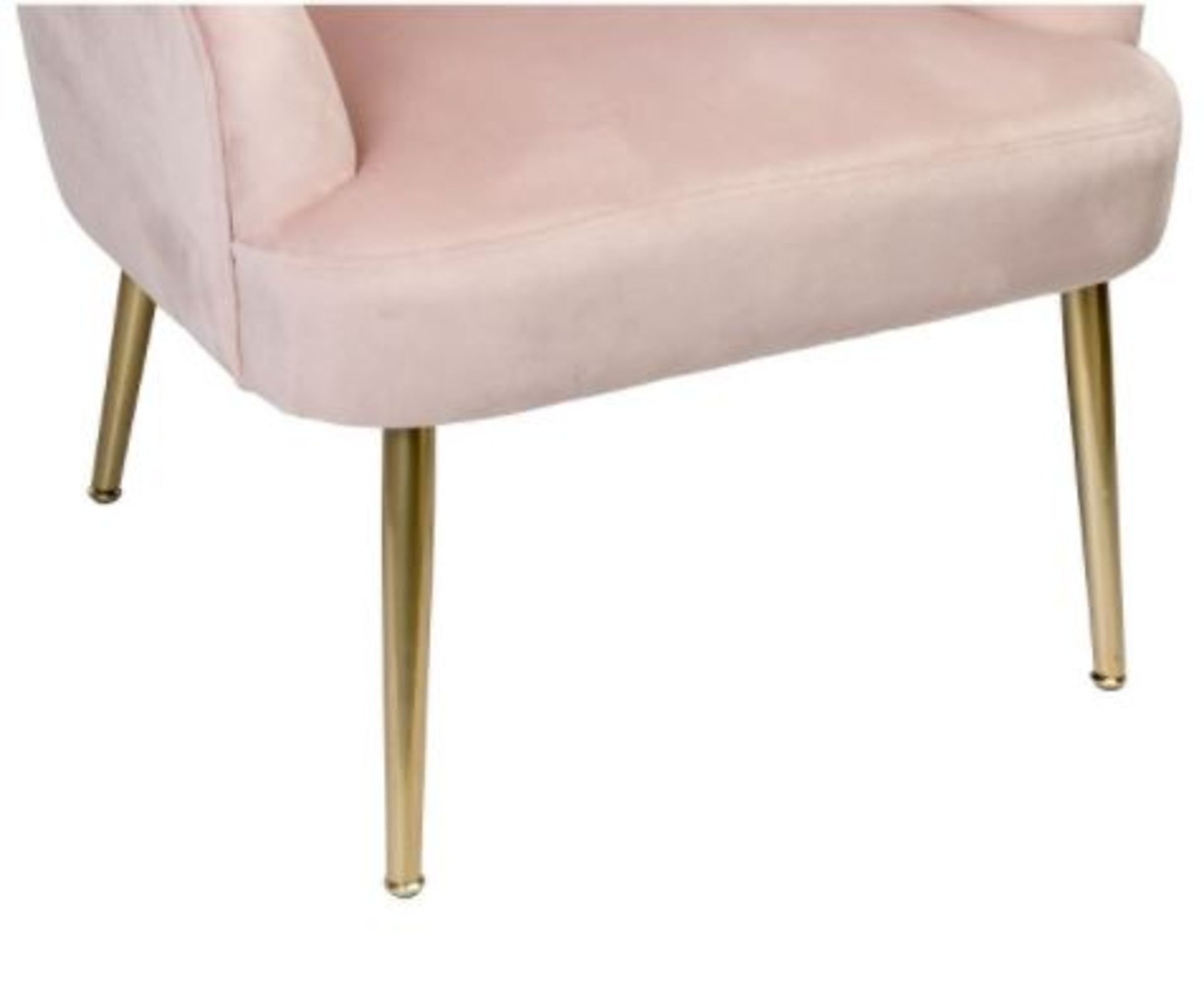 (R10K) 1 X Sophia Occasional Chair Blush. Velvet Cover With Rubberwood Legs(H77xW64xD71cm) RRP £60 - Image 3 of 6