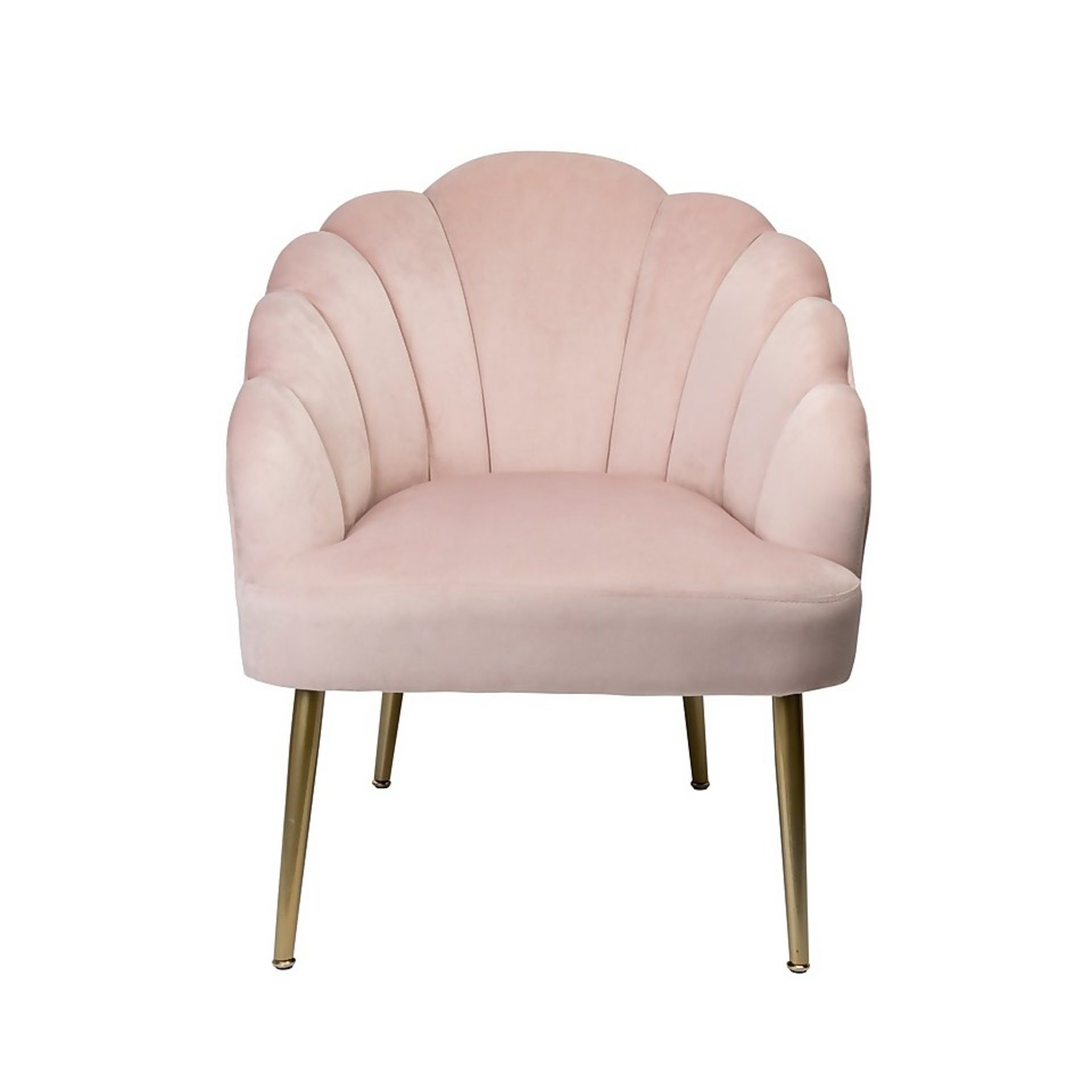 (R7N) 1 X Occasional Chair Blush. Velvet Fabric Cover. Rubberwood Legs. (H72xW60xD70cm) RRP £60 - Image 3 of 6