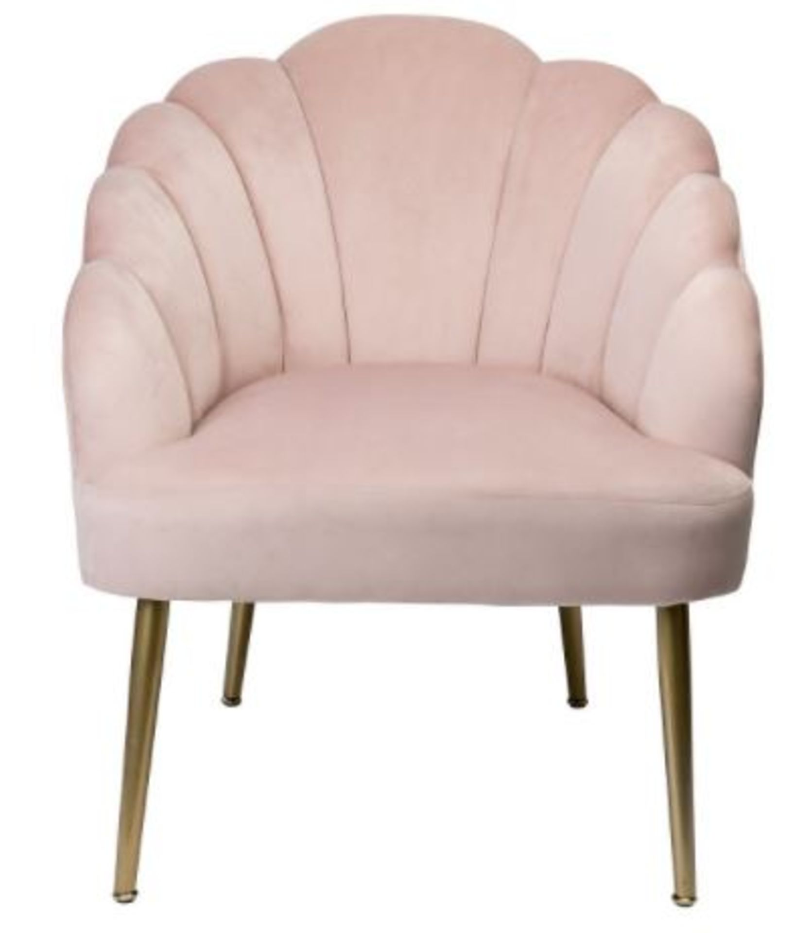 (R10K) 1 X Sophia Occasional Chair Blush. Velvet Cover With Rubberwood Legs(H77xW64xD71cm) RRP £60 - Image 4 of 6