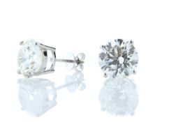 18ct White Gold Prong Set Diamond Earring 11.00 Carats