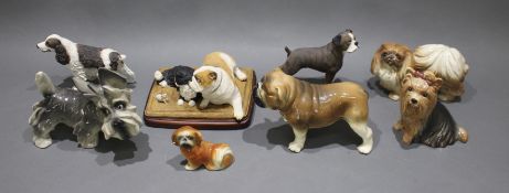 Collection of 8 Dogs