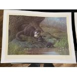 Otters by C David Johnston Limited Edition Print