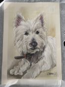 Ellie May Makes Original Art, Yorkie