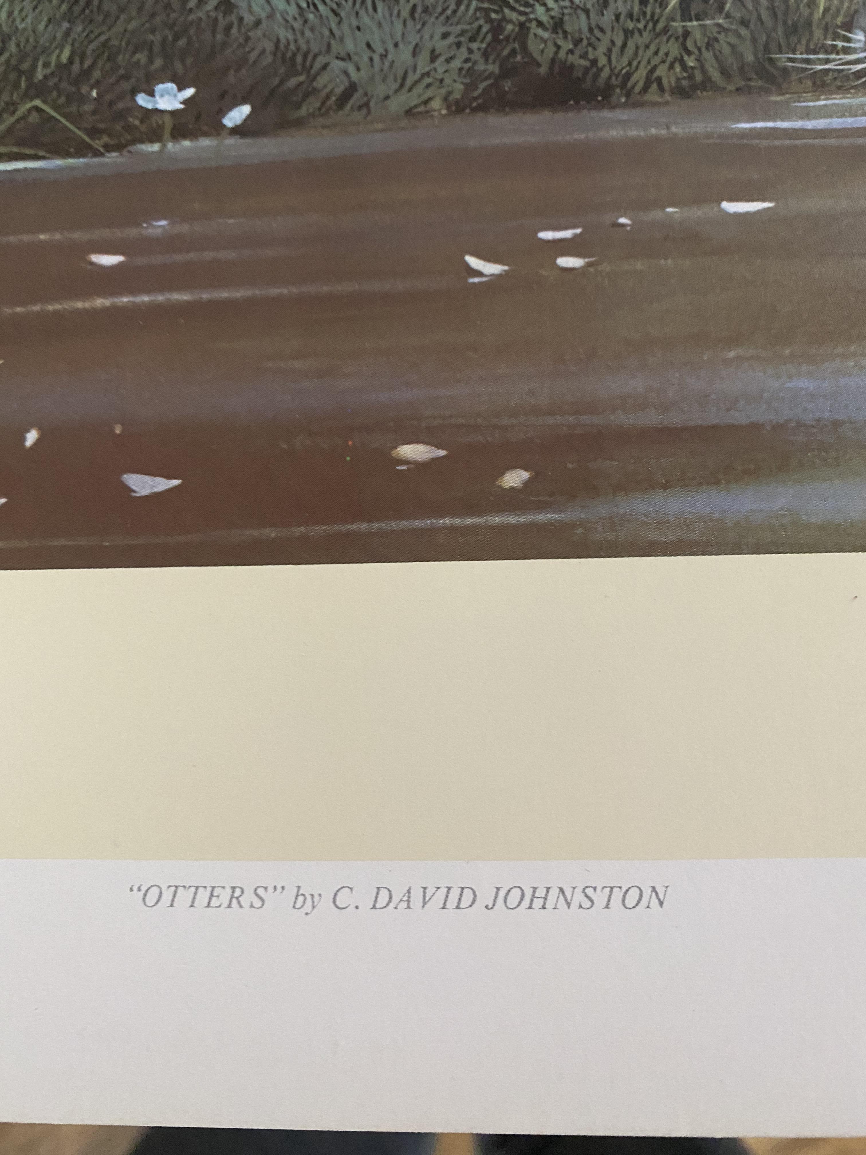 Otters by C David Johnston Limited Edition Print - Image 2 of 4