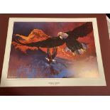 Michael Vaughan Large Signed Limited Edition Print, Evening Flight