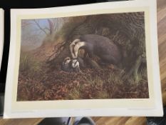 Badgers by C David Johnston Limited Edition Signed Print