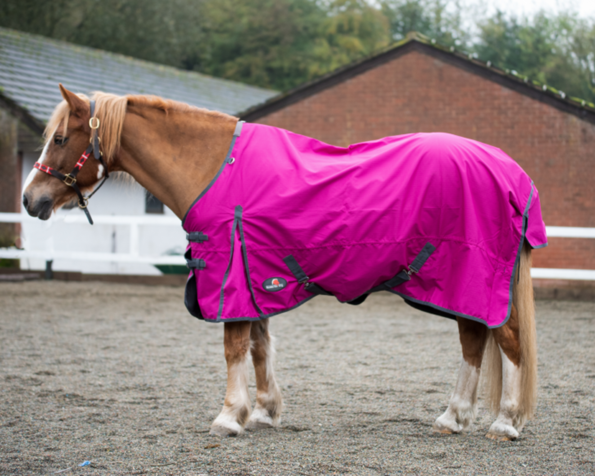 Equestrian King Turnout Rug 6' 0"" - Image 2 of 2