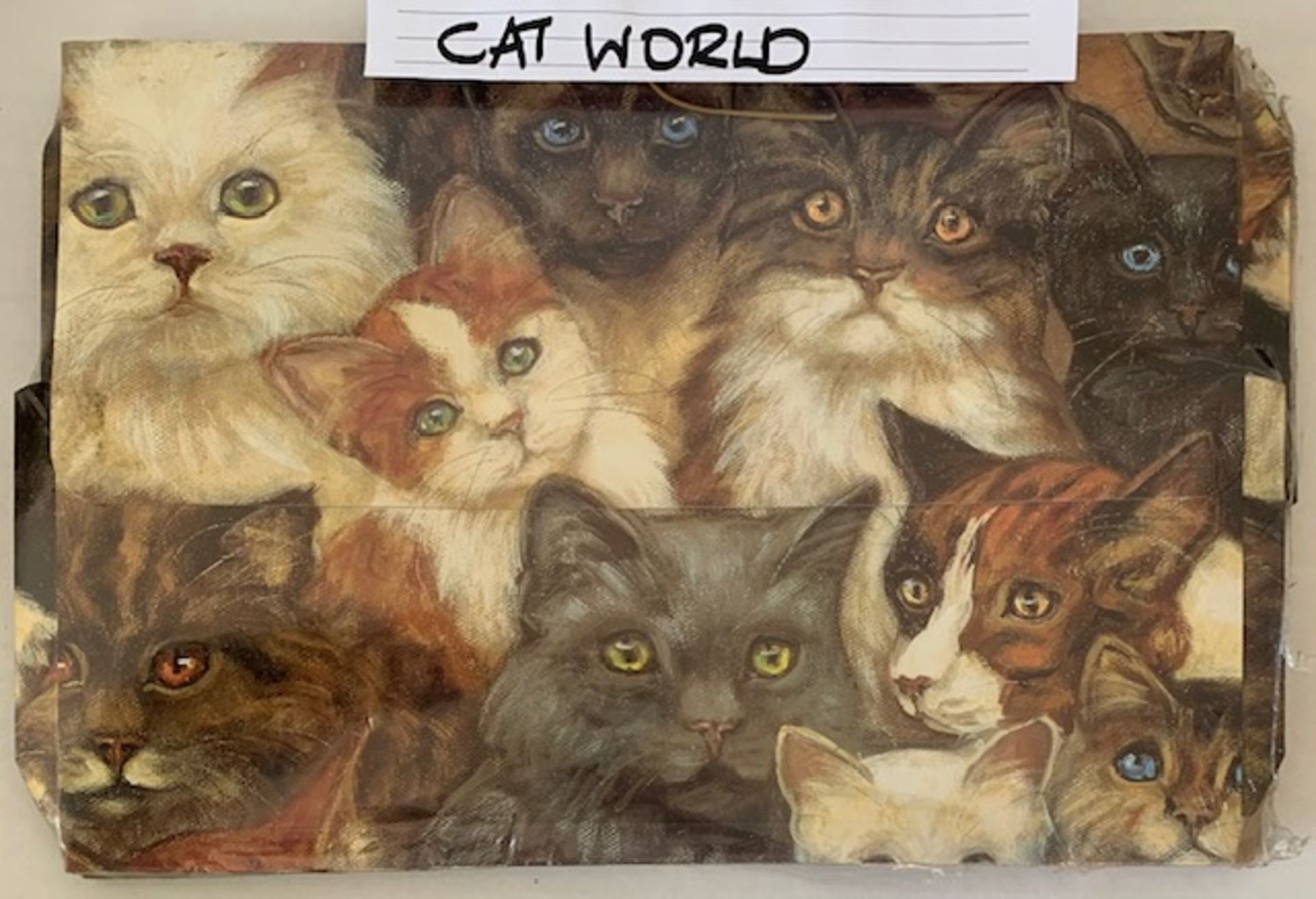 12 x Cat Cardboard Wallets