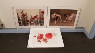 3 X (800 X 600mm) Prints. Getting Ready, Red Poppies & Wild Ruby