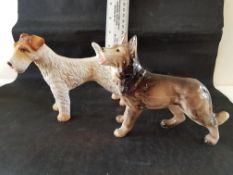 German Shepard and Wire Haired Fox Terrier