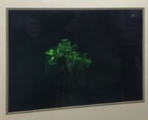 Very Rare Large Framed Holographic Plate on Glass