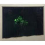 Very Rare Large Framed Holographic Plate on Glass