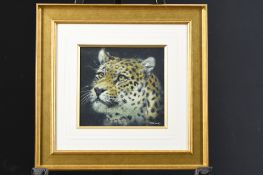 Joel Kirk Original Painting Leopard Study