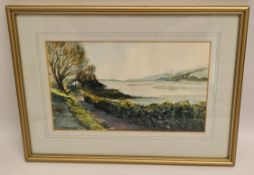 Art Watercolour Painting Framed Signed Lower Left D Warren 1988 Art Watercolour Painting Framed