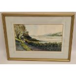 Art Watercolour Painting Framed Signed Lower Left D Warren 1988 Art Watercolour Painting Framed