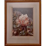 Vintage Framed Painting Watercolour Flowers Titled Pink Pearl Signed L Gilbert     Vintage Framed