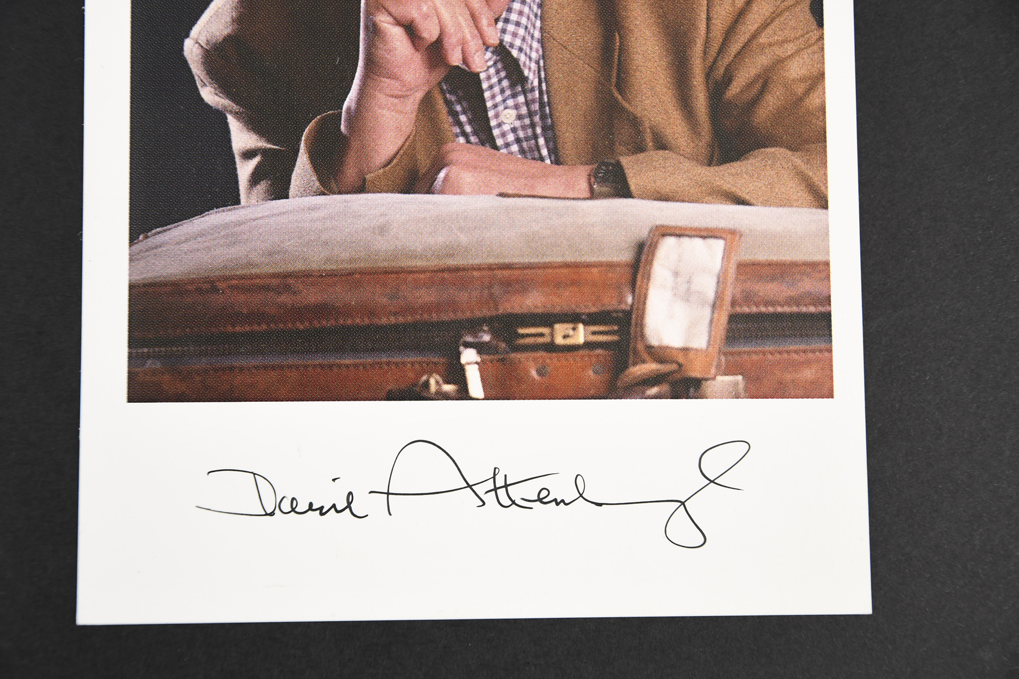 David Attenborough (1926 - ) Original Signature on photograph - Image 2 of 2
