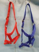 2 Pony Shires Headcollars