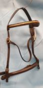 In-Hand Bridle with Show Lead