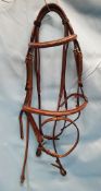 Shires Avignon Bridle with Mexican Grackle