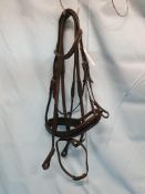 Black Bridle with Jade Brow Band