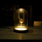 (R11H) 9x Harry Potter Bell Jar Light