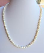 19 Inch Cultured Pearl Necklace Silver Clasp