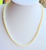 17 inch Cultured Pearl Necklace