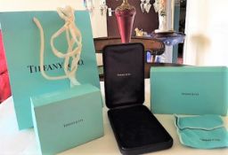 Tiffany & Co Gift Boxes