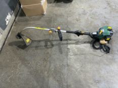 Petrol Strimmer