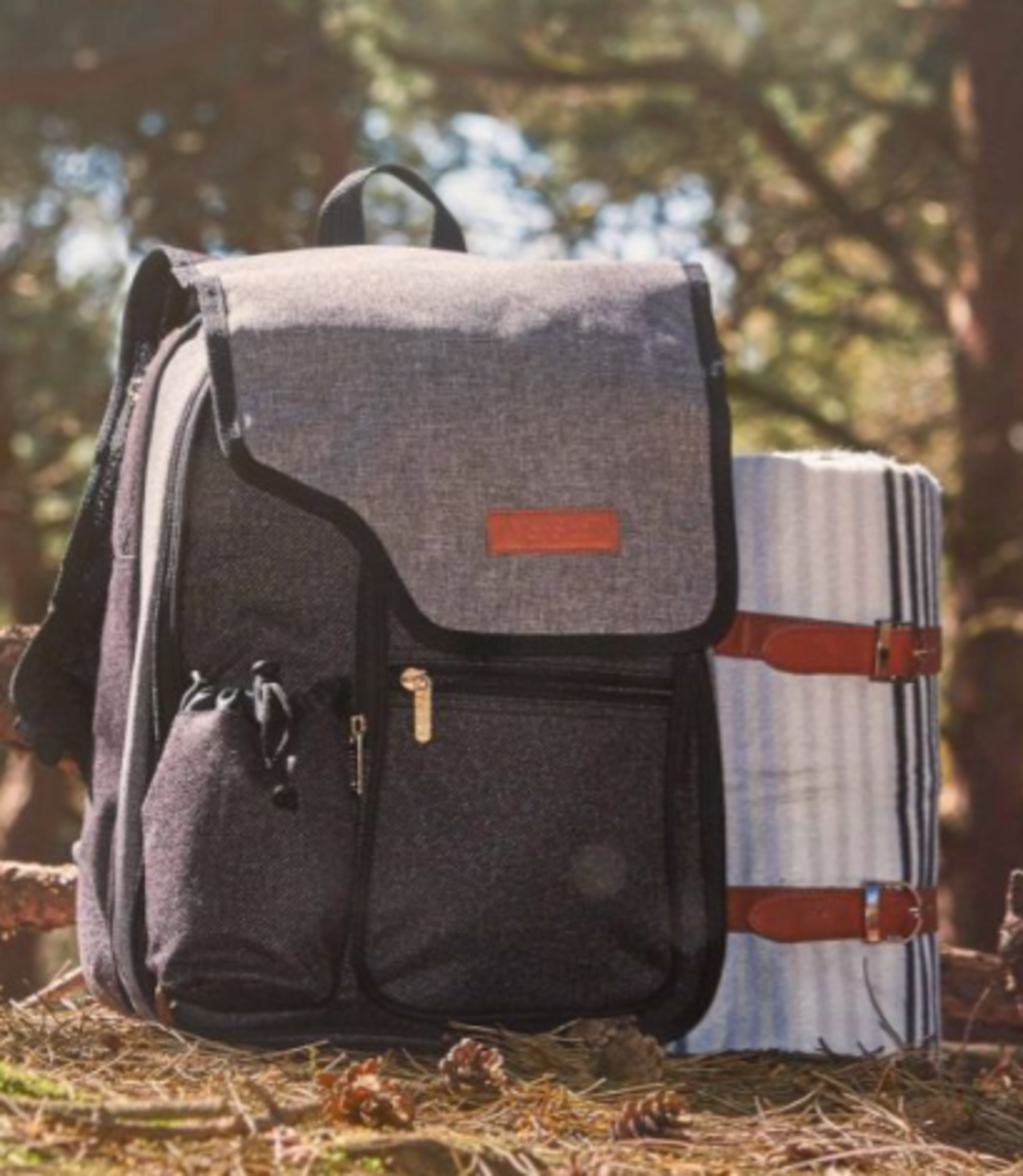 Ash Picnic Backpack for 2- Customer Returns