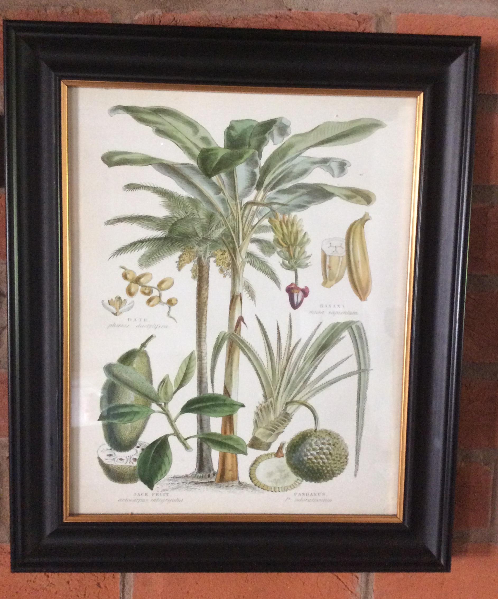 Botanical Art Framed Print 1 - Image 2 of 7