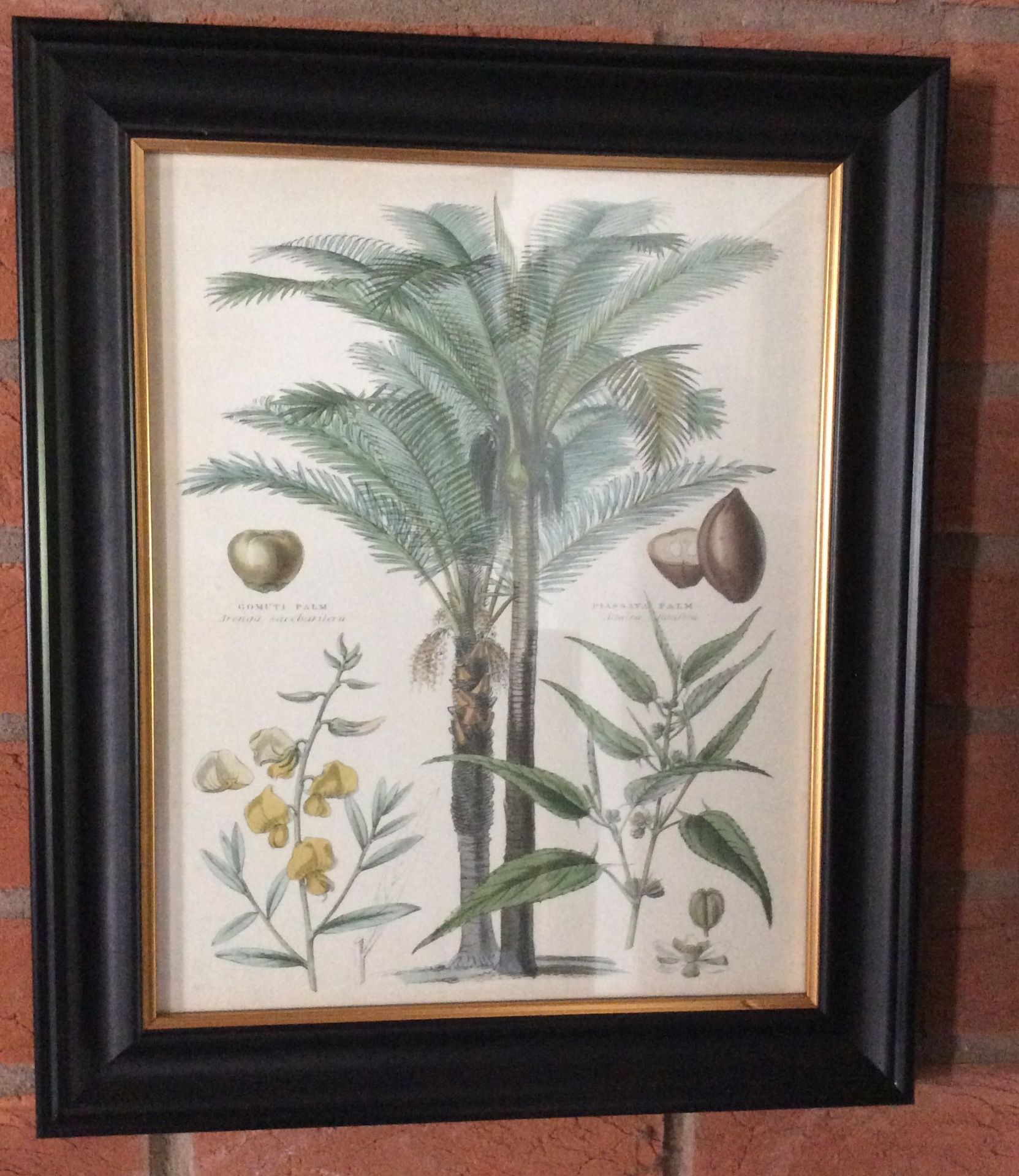 Botanical Art Framed Print 2 - Image 2 of 5