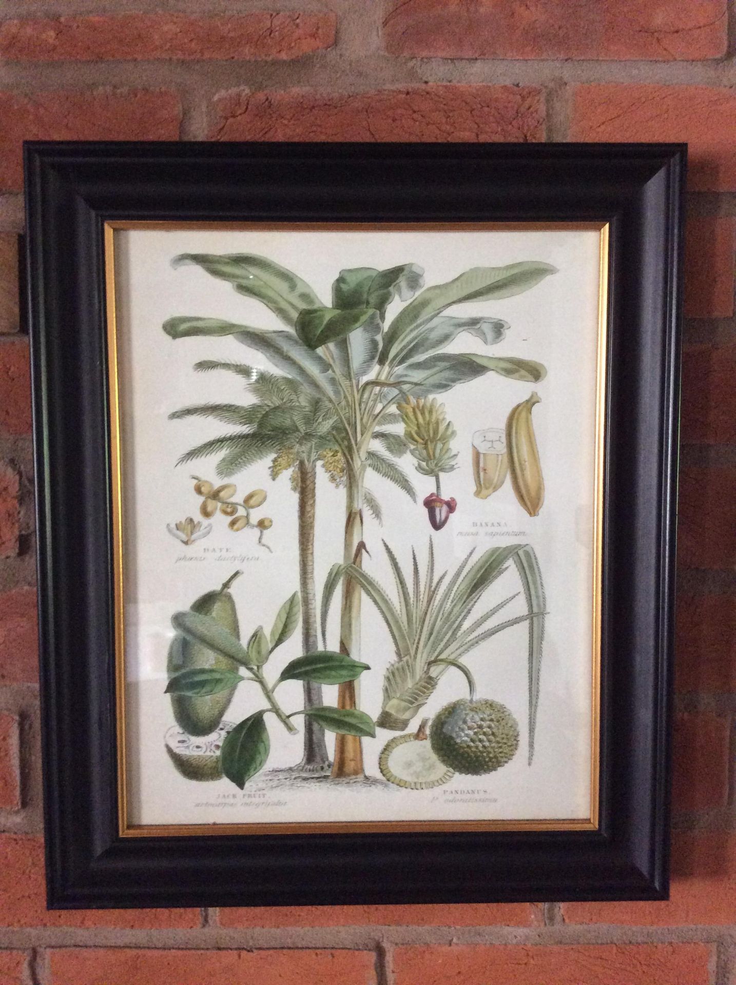 Botanical Art Framed Print 1 - Image 6 of 7