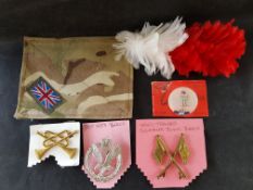 Collection of Military Badges and Hat Feathers