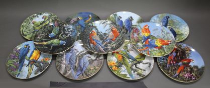 Set of 11 Wedgwood Birds of Paradise Plates