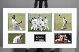 SHANE WARNE