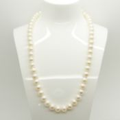 A string of white cultured pearls with a 9ct yellow gold ball clasp
