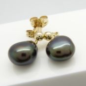 A pair of 9ct yellow gold unusual black freshwater pearl ear drops, boxed