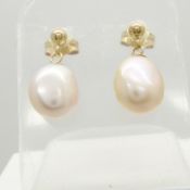 A pair of 9ct yellow gold white freshwater pearl drop ear studs with box