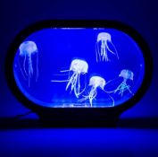 (R3G) 7 Items. 4x Realistic Jellyfish Lamp (1x No Box). 3x Laser X 2 Player Pack. (All With RTM St