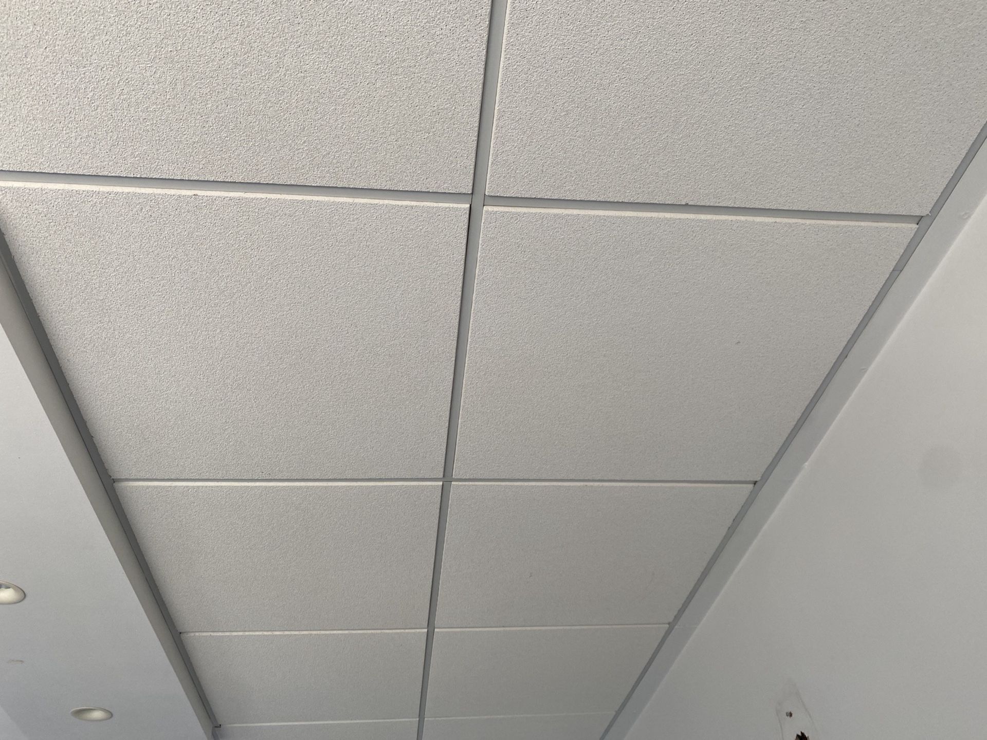 Ceiling tiles x 102 white