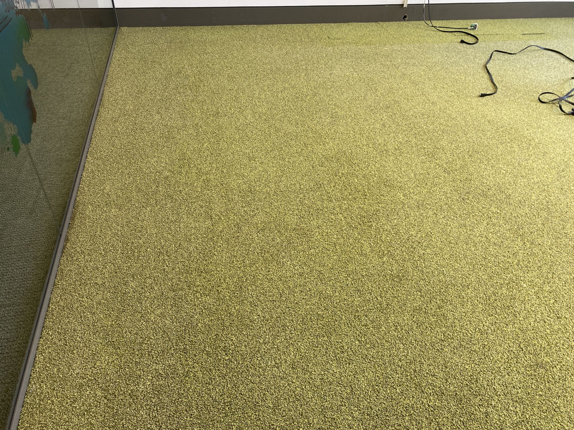 Green carpet tiles 4.8m x 4.4m