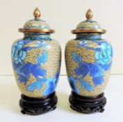 Pair Vintage Chinese JINGFA Cloisonn_ Lidded Jars