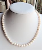 Cultured Pearl Necklace 57 x 6mm Pearls Silver Clasp