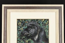 Original Gorilla Painting by the late English Artist Joel Kirk