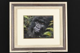 Original Gorilla Painting by the late English Artist Joel Kirk